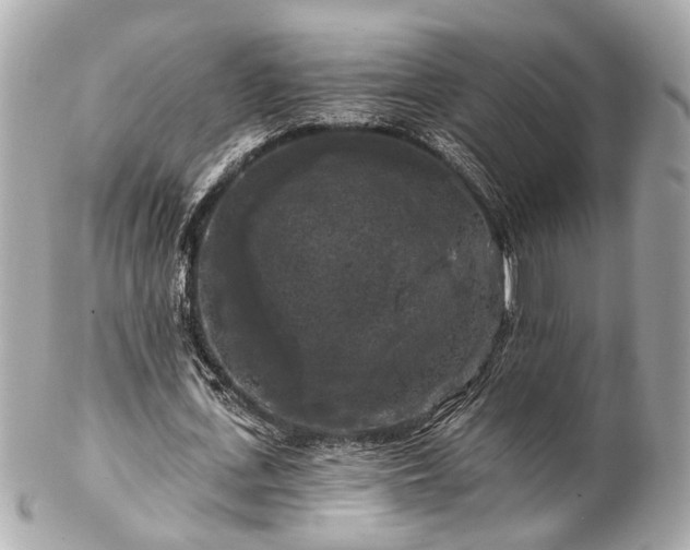 X0000102490723200808151455