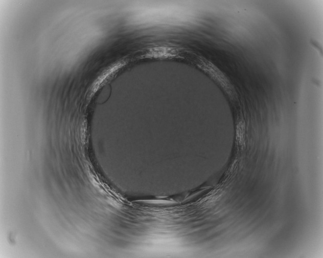 X0000102490724200808151455