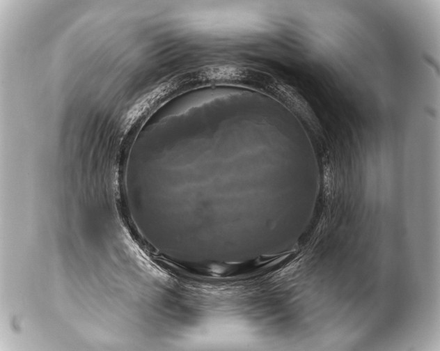 X0000102490725200808151455