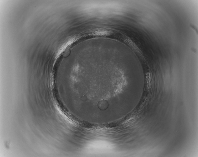 X0000102490726200808151455