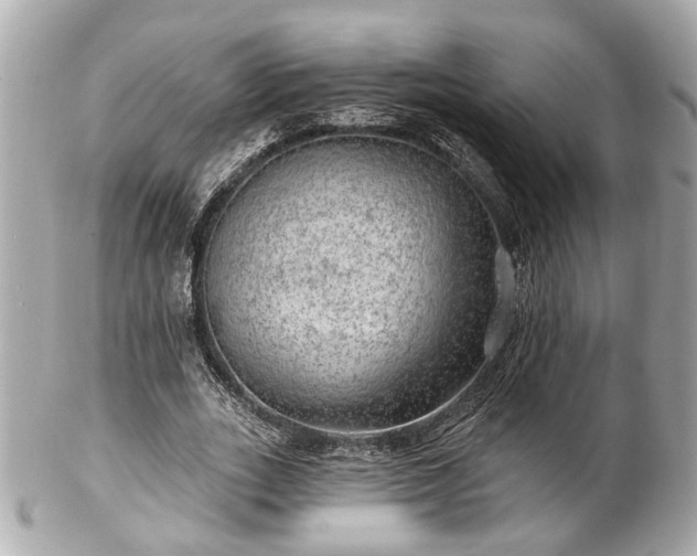 X0000102490727200808151455