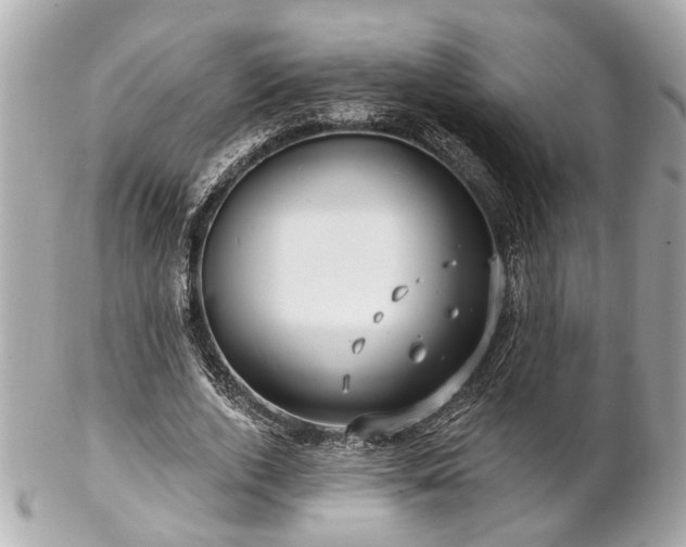 X0000102490728200808151455