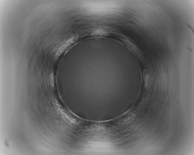 X0000102490729200808151455