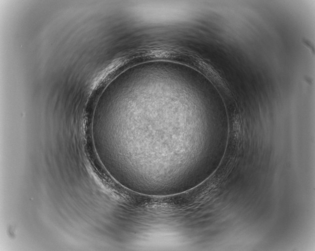 X0000102490730200808151455