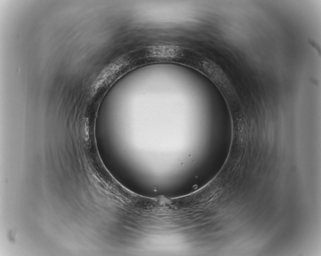 X0000102490731200808151455