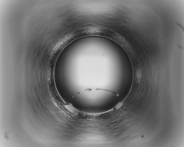 X0000102490732200808151455