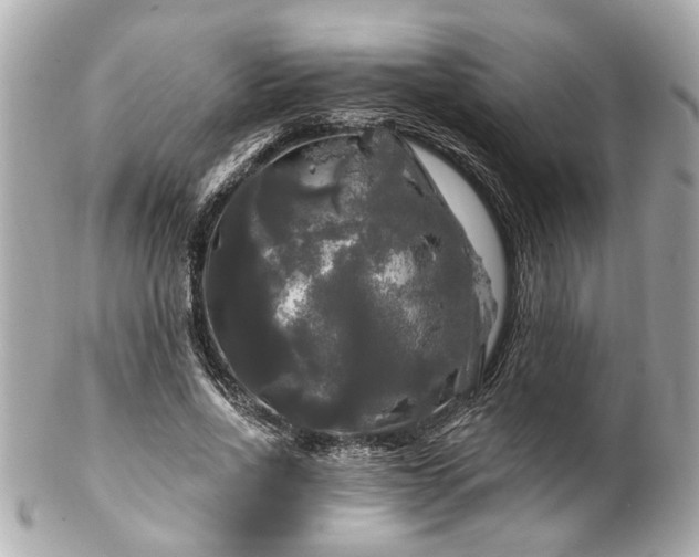 X0000102490734200808151455