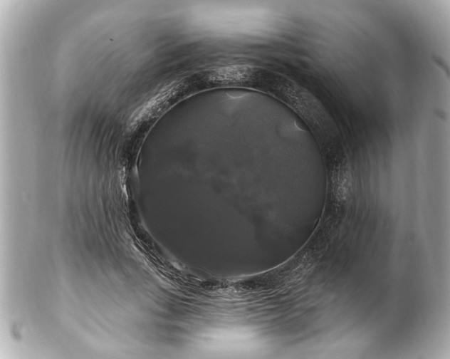 X0000102490735200808151456