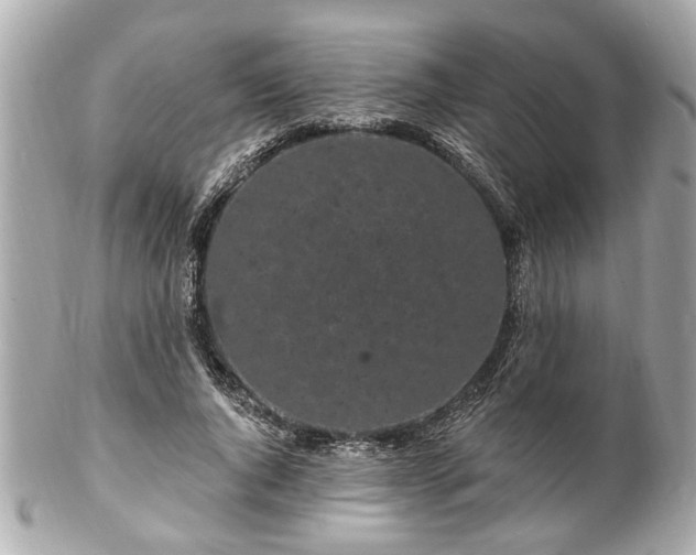 X0000102490736200808151456