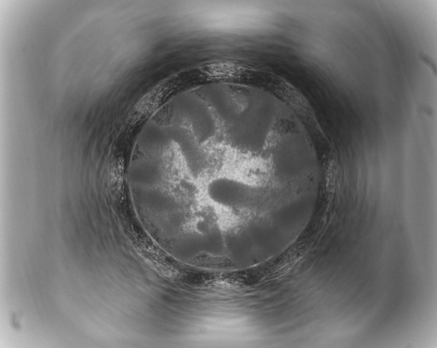 X0000102490737200808151456