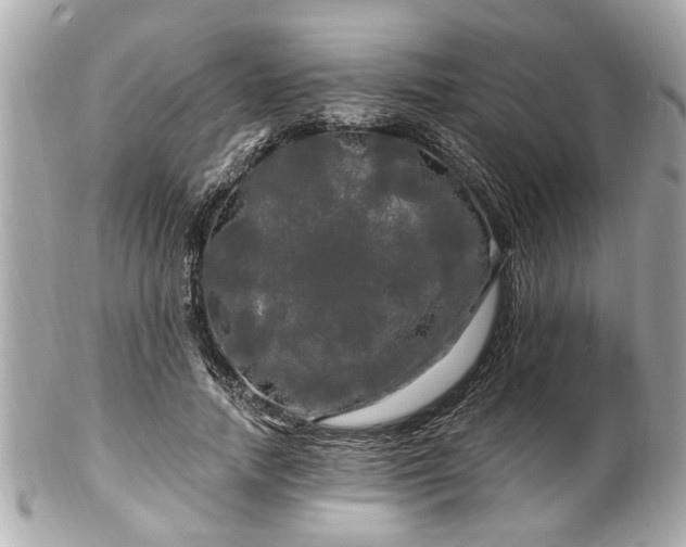 X0000102490738200808151456