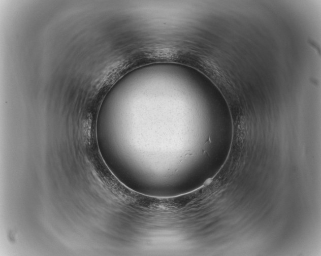 X0000102490739200808151456