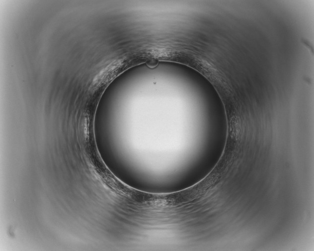 X0000102490740200808151456