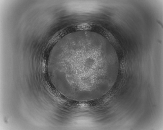 X0000102490741200808151456