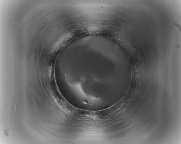 X0000102490742200808151456