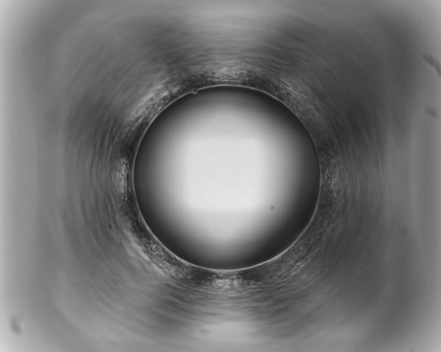 X0000102490744200808151456