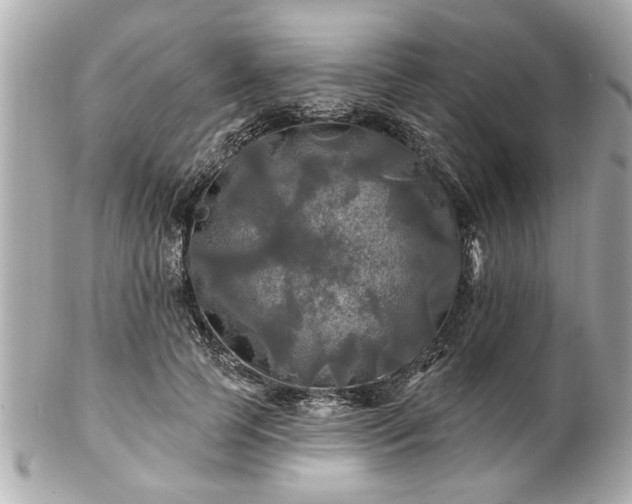 X0000102490745200808151456