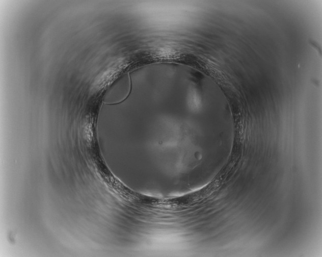 X0000102490746200808151456