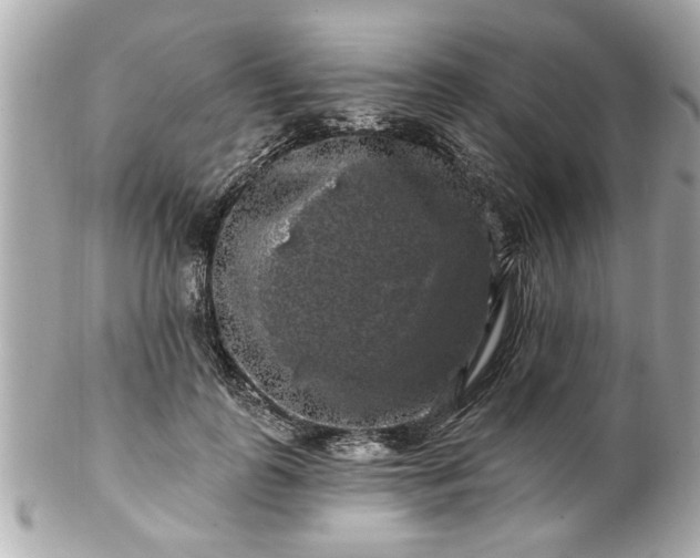 X0000102490747200808151456