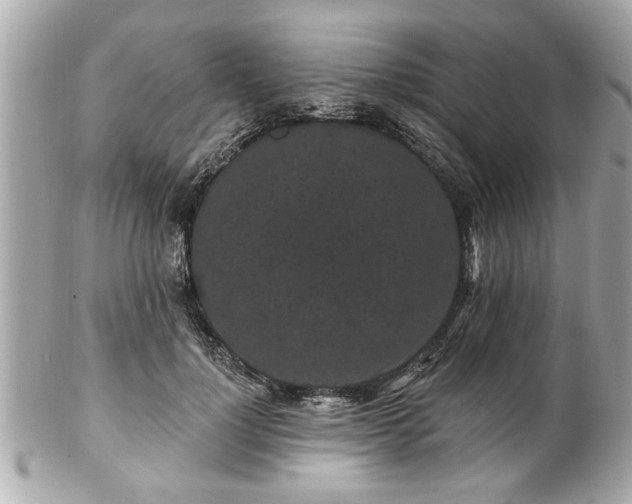 X0000102490748200808151456