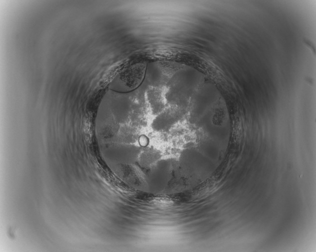 X0000102490749200808151456