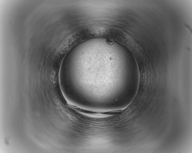 X0000102490750200808151456