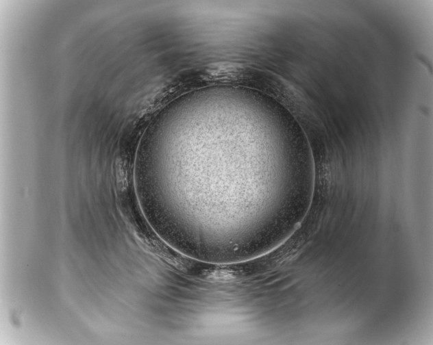 X0000102490751200808151456