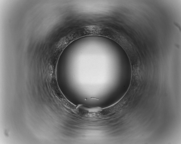 X0000102490752200808151456