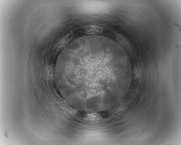 X0000102490753200808151456