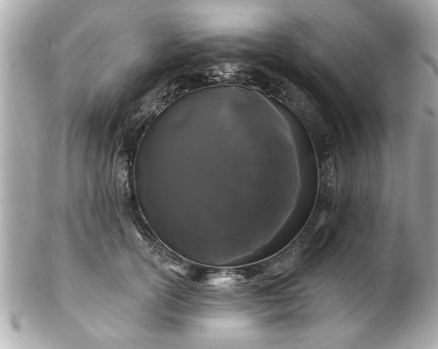 X0000102490754200808151456