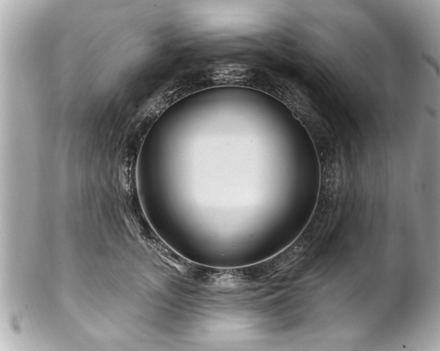 X0000102490755200808151456