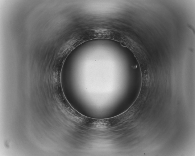 X0000102490756200808151456