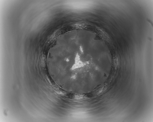 X0000102490757200808151456