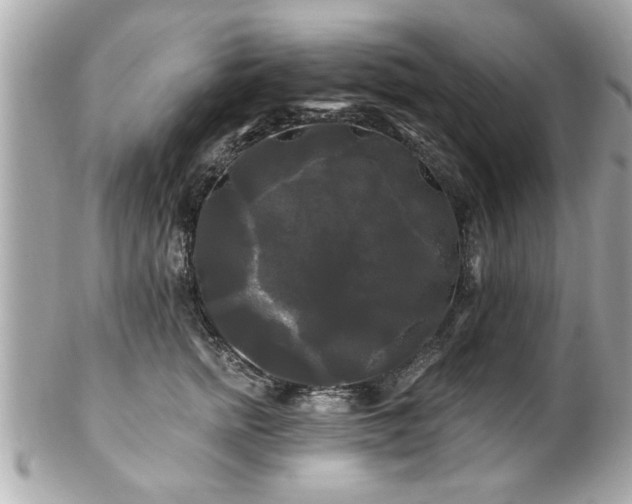 X0000102490758200808151456