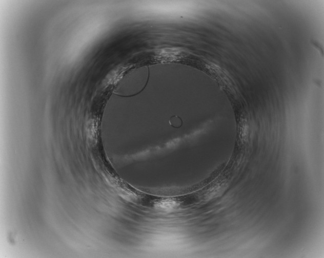 X0000102490759200808151456