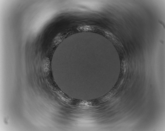 X0000102490760200808151456