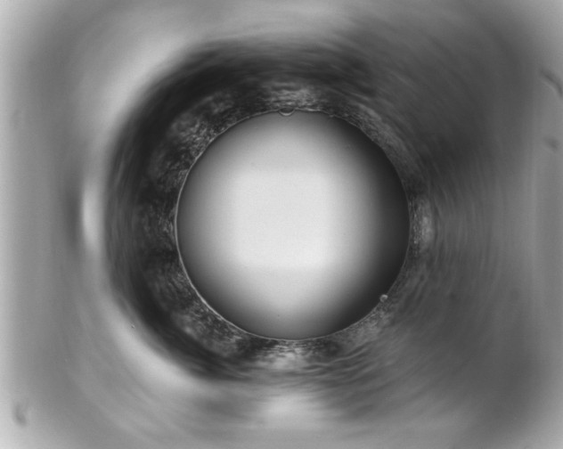 X0000102490764200808151456