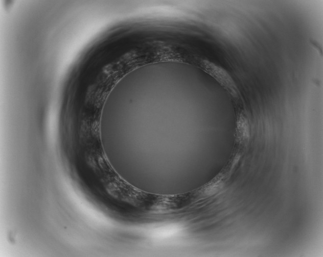 X0000102490765200808151456