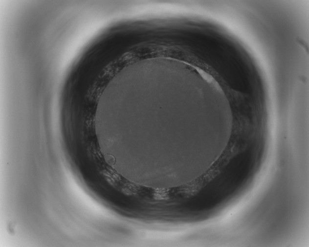 X0000102490766200808151456