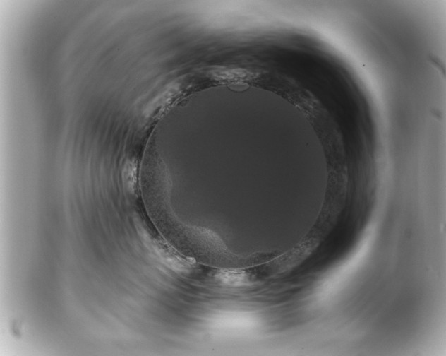 X0000102490767200808151456