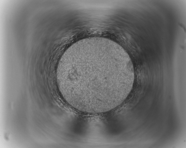 X0000102490769200808151455