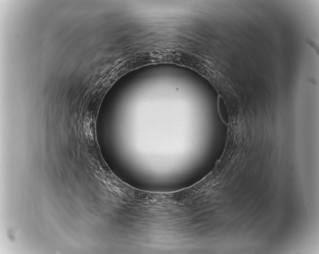 X0000102490770200808151455