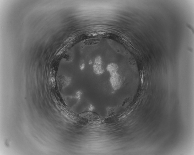 X0000102490771200808151455