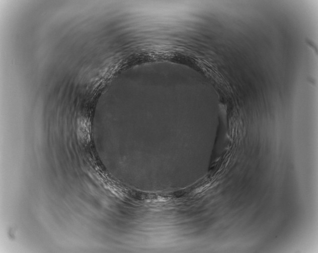 X0000102490772200808151455