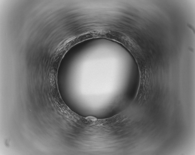 X0000102490773200808151455