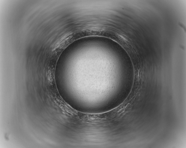 X0000102490774200808151455