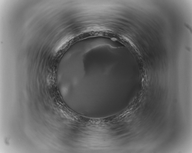 X0000102490775200808151455