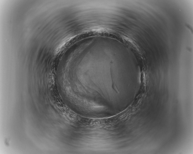 X0000102490776200808151455