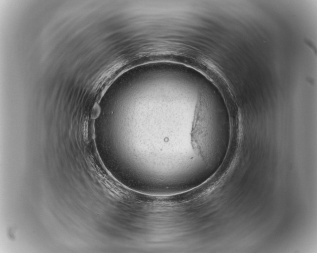 X0000102490777200808151455