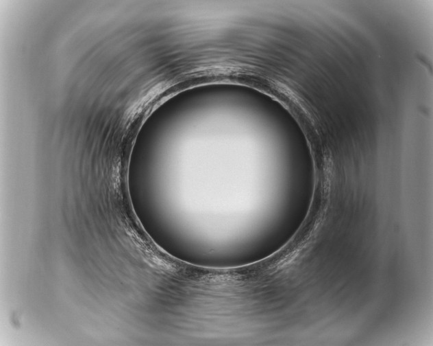 X0000102490778200808151455